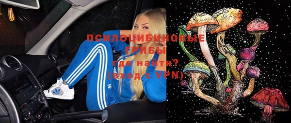 первитин Горнозаводск