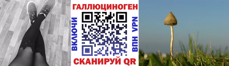 Галлюциногенные грибы Psilocybine cubensis  закладки  Кочубеевское 