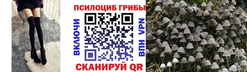 Галлюциногенные грибы прущие грибы Кочубеевское